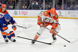 Ducks Islanders Hockey