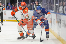 Ducks Islanders Hockey