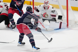 Seantors Blue Jackets Hockey