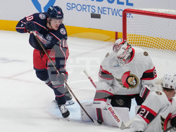 Seantors Blue Jackets Hockey