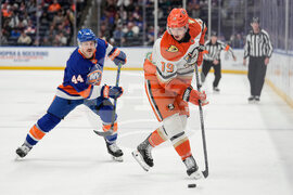 Ducks Islanders Hockey