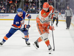 Ducks Islanders Hockey