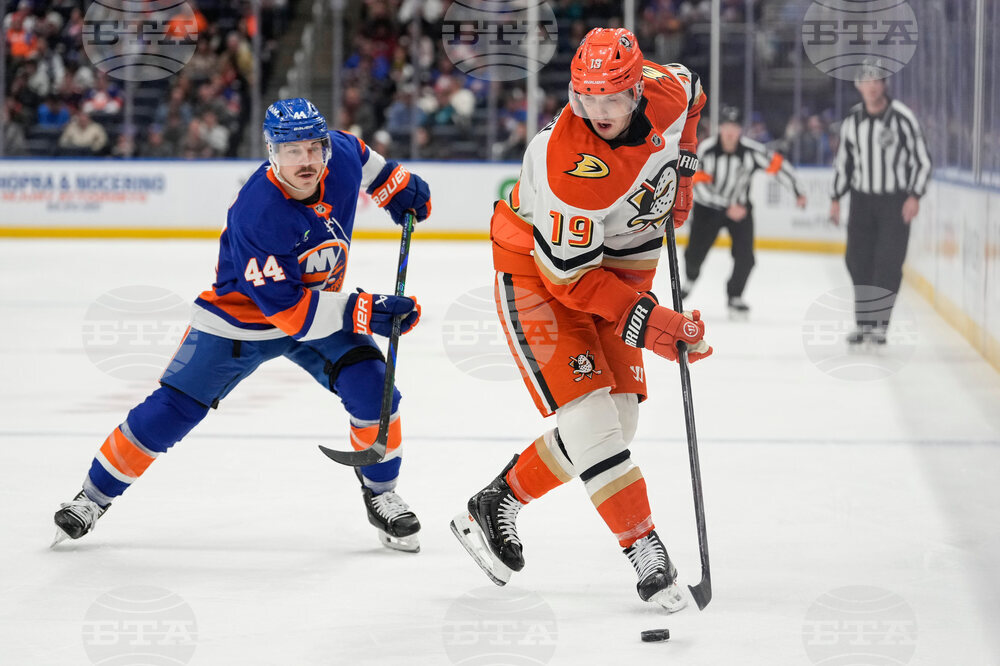 Ducks Islanders Hockey
