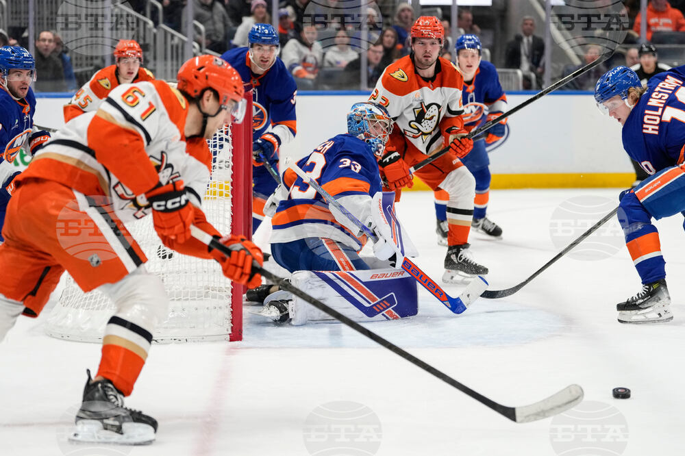 Ducks Islanders Hockey