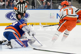 Ducks Islanders Hockey