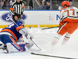 Ducks Islanders Hockey