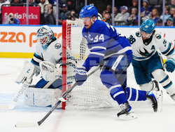 Sharks Maple Leafs Hockey