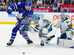 Sharks Maple Leafs Hockey