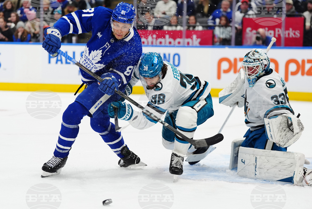 Sharks Maple Leafs Hockey
