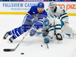 Sharks Maple Leafs Hockey