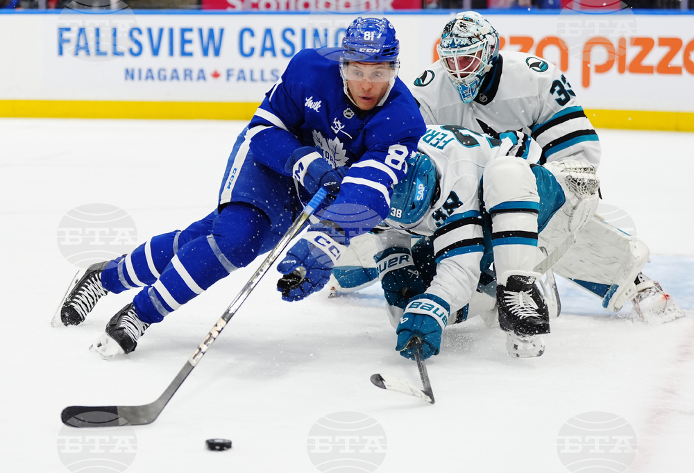 Sharks Maple Leafs Hockey