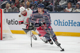 Seantors Blue Jackets Hockey