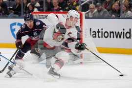 Seantors Blue Jackets Hockey