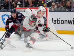 Seantors Blue Jackets Hockey