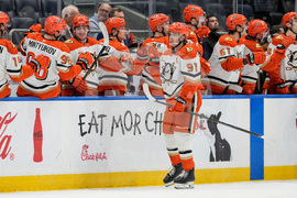 Ducks Islanders Hockey