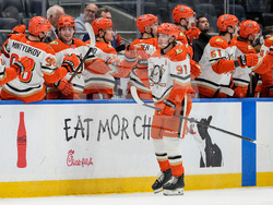 Ducks Islanders Hockey