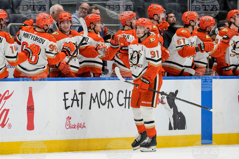 Ducks Islanders Hockey