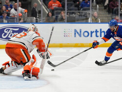 Ducks Islanders Hockey