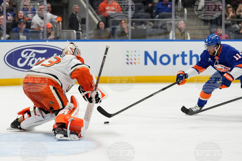 Ducks Islanders Hockey