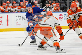 Ducks Islanders Hockey