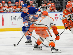 Ducks Islanders Hockey