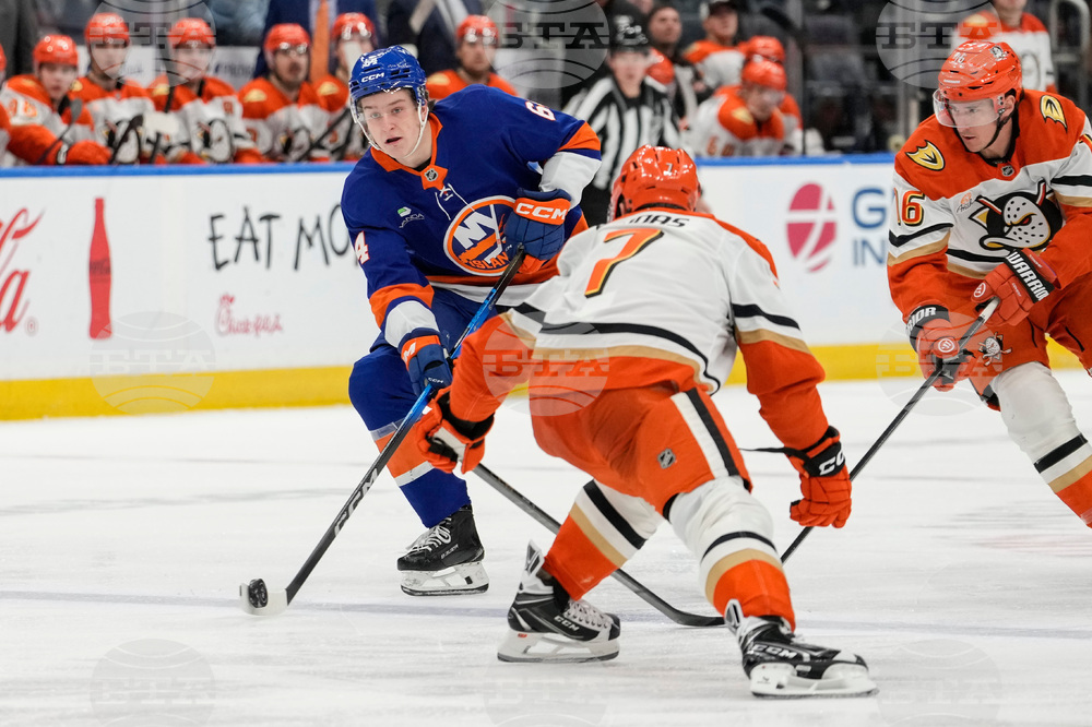 Ducks Islanders Hockey