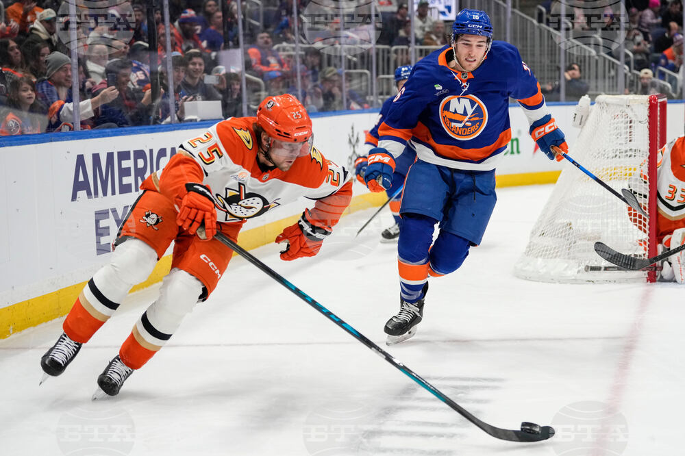 Ducks Islanders Hockey