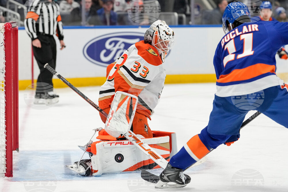 Ducks Islanders Hockey