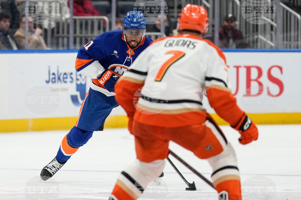 Ducks Islanders Hockey