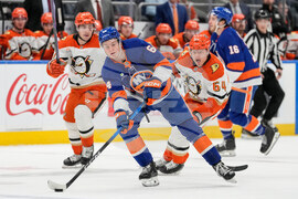 Ducks Islanders Hockey