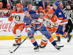Ducks Islanders Hockey