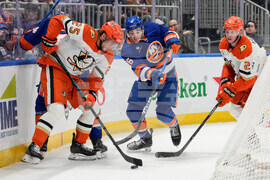 Ducks Islanders Hockey