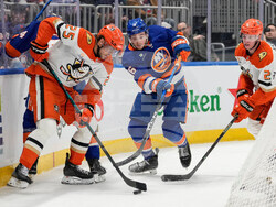 Ducks Islanders Hockey