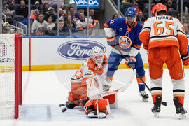 Ducks Islanders Hockey