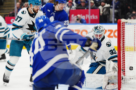Sharks Maple Leafs Hockey