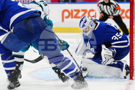 Sharks Maple Leafs Hockey