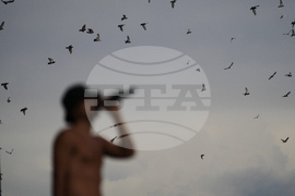 APTOPIX Argentina Trueno