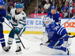 Sharks Maple Leafs Hockey