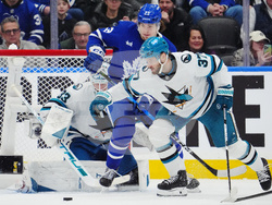 Sharks Maple Leafs Hockey