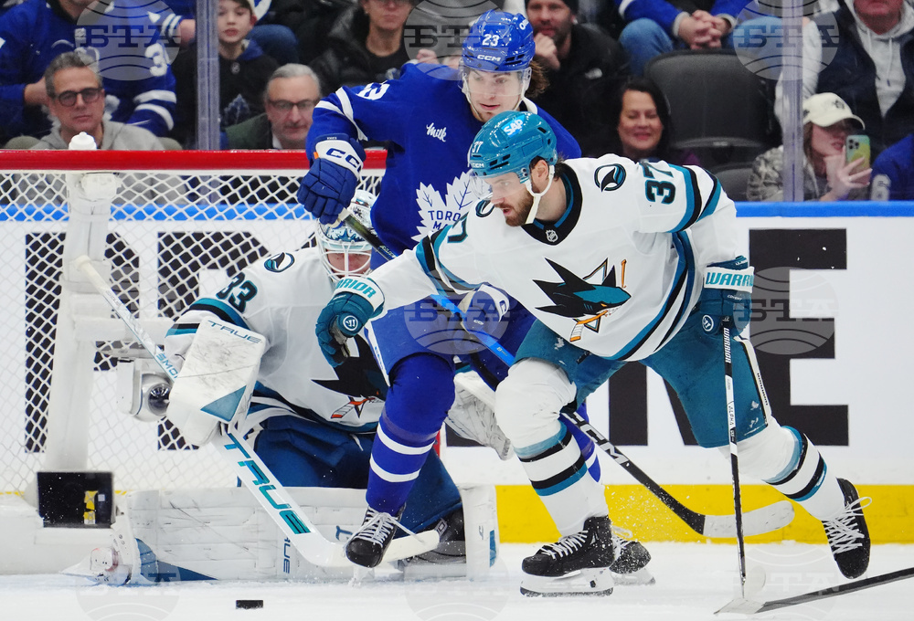 Sharks Maple Leafs Hockey