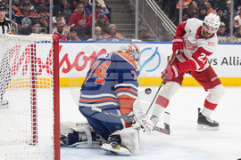 Red Wings Oilers Hockey
