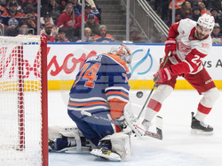 Red Wings Oilers Hockey