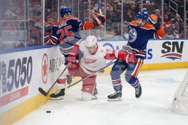 Red Wings Oilers Hockey