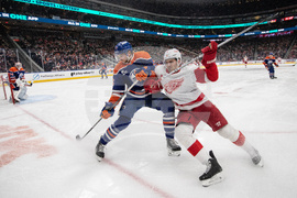 Red Wings Oilers Hockey