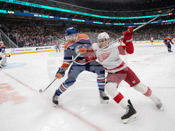 Red Wings Oilers Hockey
