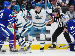 Sharks Maple Leafs Hockey