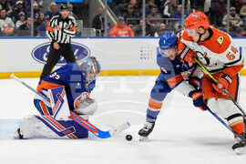 Ducks Islanders Hockey