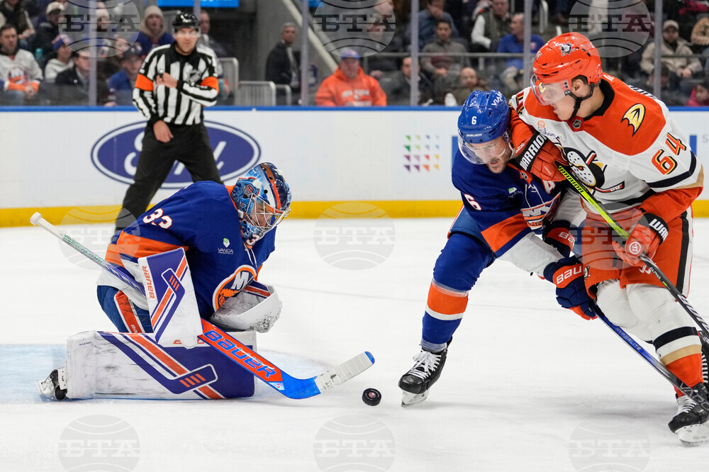 Ducks Islanders Hockey