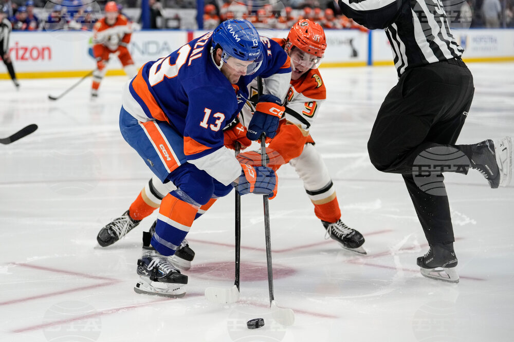 Ducks Islanders Hockey