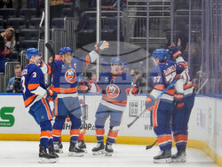 Ducks Islanders Hockey